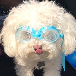 Meet your Posher, Liss